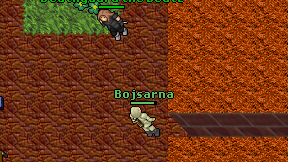 Bojsarna on screen