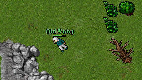 Old Wong on screen