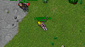 Agunkaa on screen