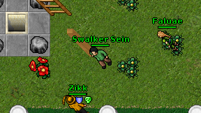Swalker Sein on screen