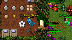 Savifiree on screen