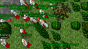 Roman'Tyczka on screen