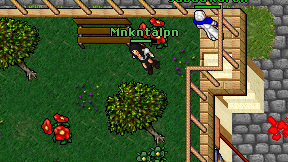 Mnkntalpn on screen