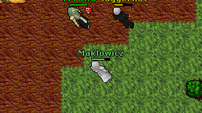Maklowicz on screen