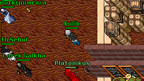Kulik on screen