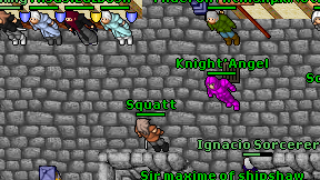 Knight'Angel on screen