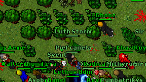 Luth Storm on screen