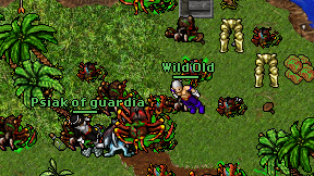 Wild Old on screen