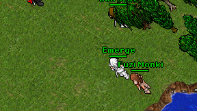 Emerge on screen