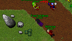 Fan'atikus on screen