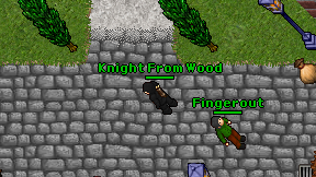Knight From Wood on screen