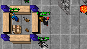 Exfort on screen