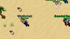 Kwiiatek on screen