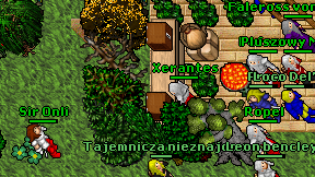 Xerantes on screen