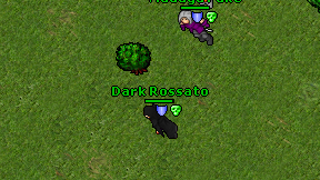 Dark Rossato on screen