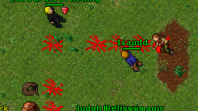 Isaudd on screen