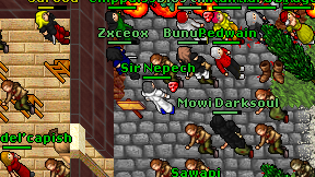 Sir Nepech on screen