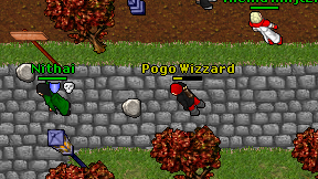 Pogo Wizzard on screen