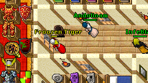 Froozen Tiger on screen
