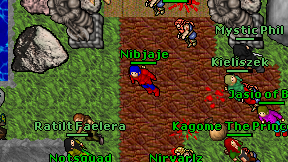 Nibjaje on screen
