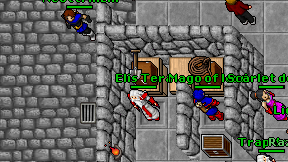 Elis Tera on screen