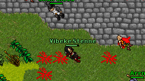 Vibeke Stenne on screen