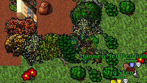 Mofor Dev on screen