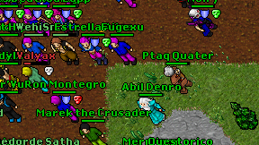 Ptaq Quater on screen