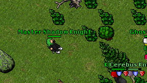 Master Shadow Knight on screen