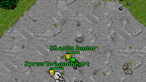 Shaolin Junior on screen