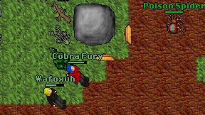 Cobra Fury on screen