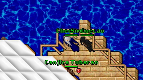 Cheecoon on screen