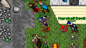 Vale ko on screen