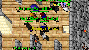 Olympus Druid on screen