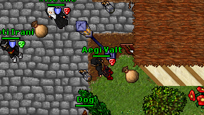 Aegi Valt on screen