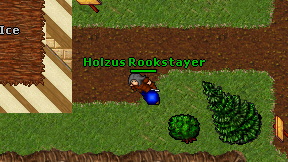 Holzus Rookstayer on screen