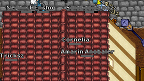 Amixodo on screen