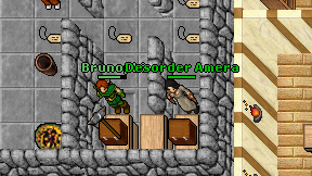 Desorder Amera on screen