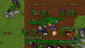 Druid Eternal on screen