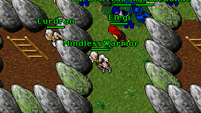 Mindless Warrior on screen