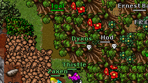 Dyxos on screen