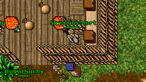 Skyarius Mort on screen