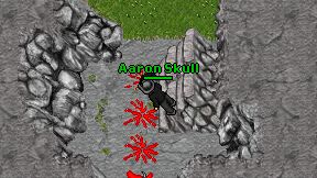 Aaron Skull on screen