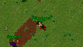 Mike Lyan on screen