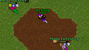 Xelidia on screen
