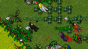 Mind Angel on screen