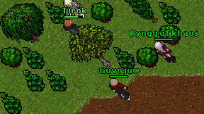 Guvojuw on screen