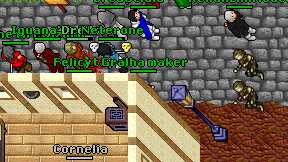 Gralha maker on screen