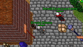 Druid Zinno on screen