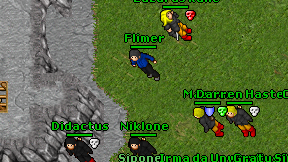 Flimer on screen